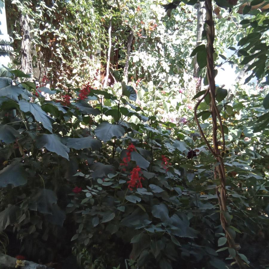 Lovely Home For You Osh Ngoại thất bức ảnh