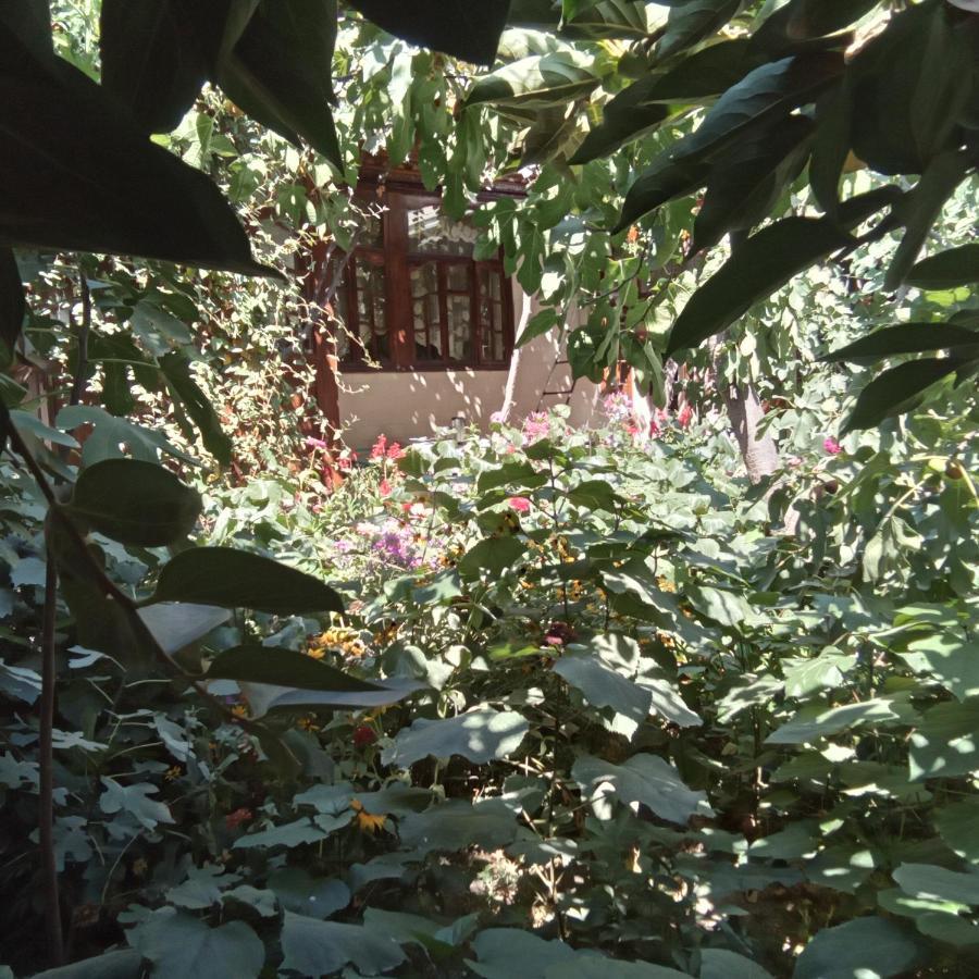 Lovely Home For You Osh Ngoại thất bức ảnh