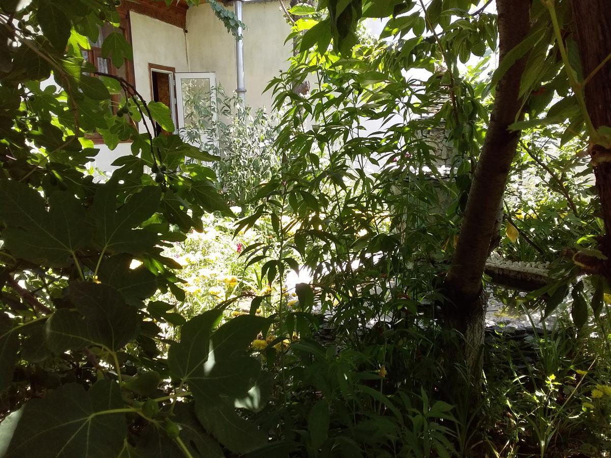 Lovely Home For You Osh Ngoại thất bức ảnh